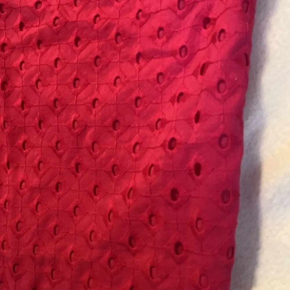 The Limited Hot Pink‎ Eyelet Shorts